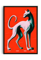 Don't have nine lives