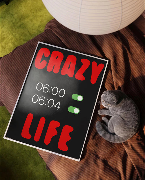 Crazy life