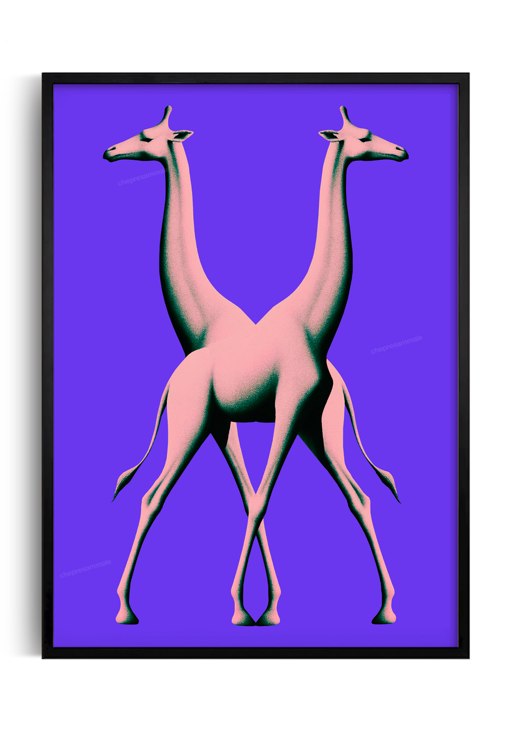 poster animal viola