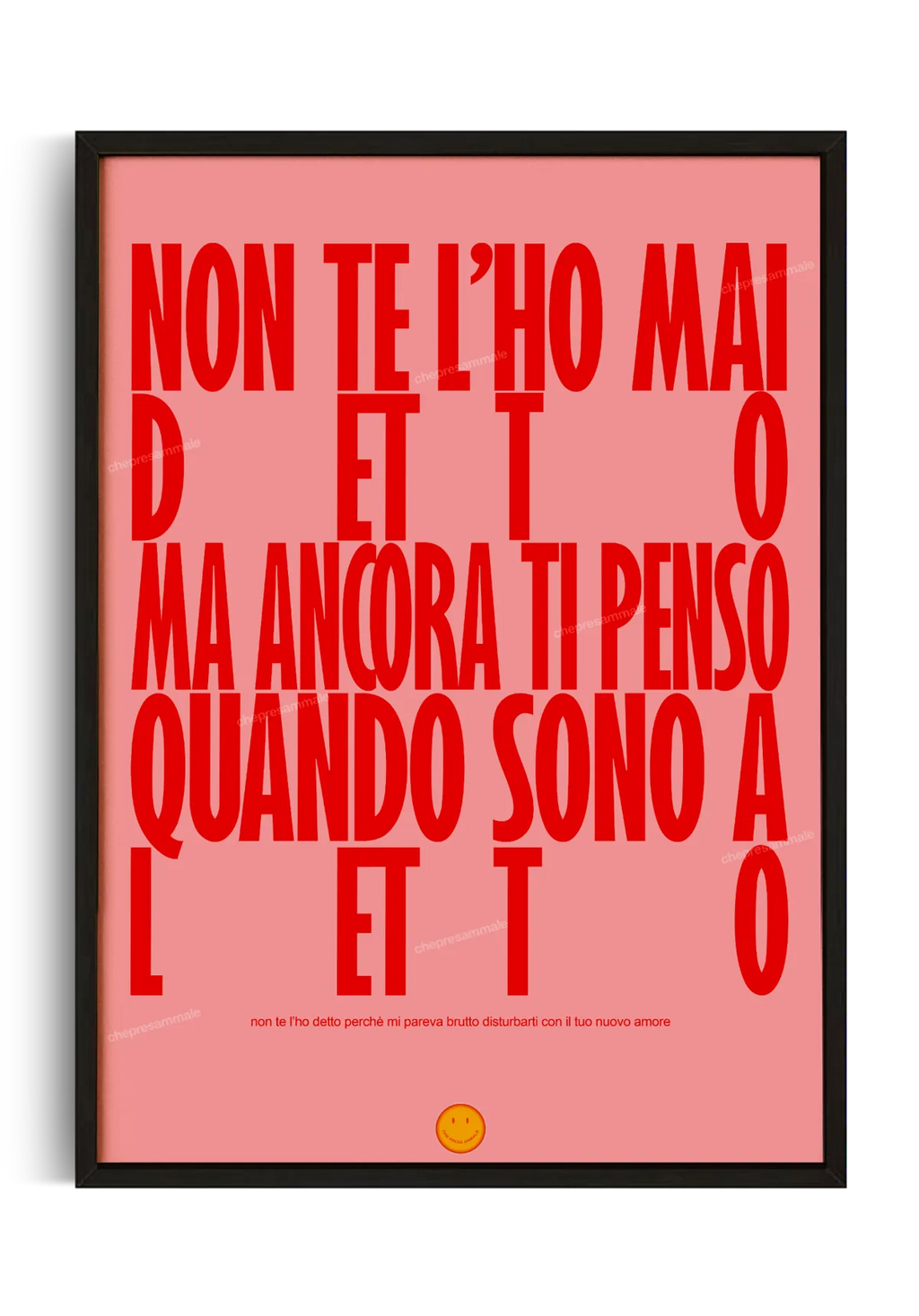 Non te l'ho mai detto